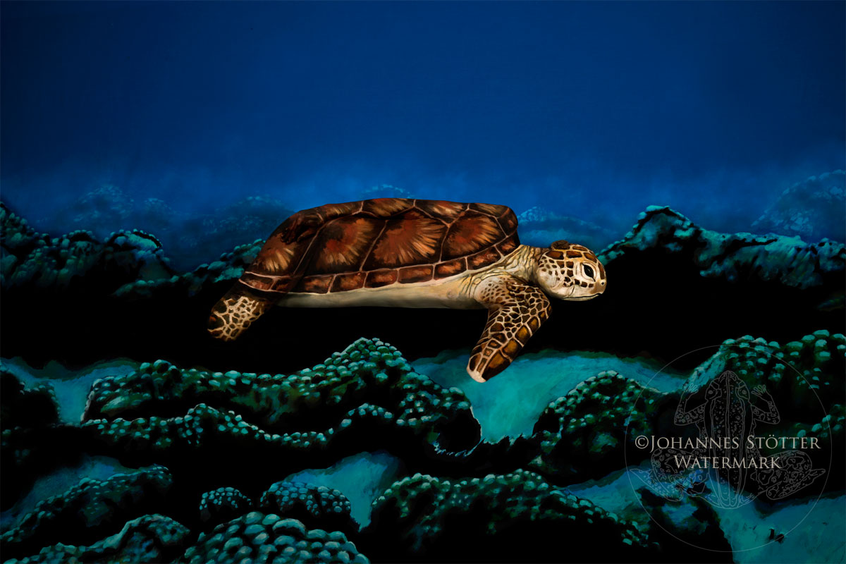 Sea Turtle Body Art Illusion